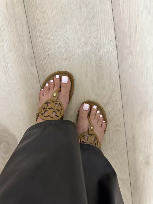 Will my tory distract you in the office