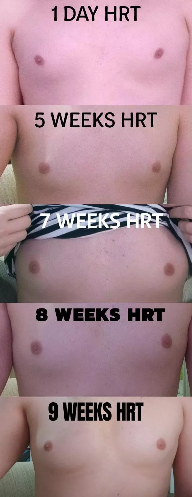 9 weeks updates and progress