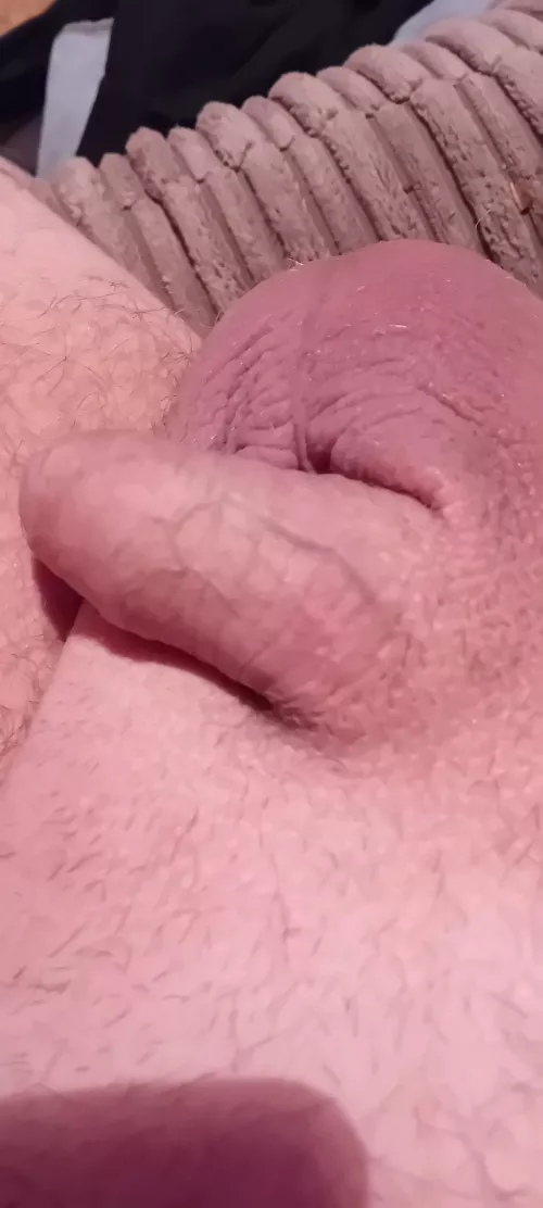 Any one like a shaved cock and balls on here🥵