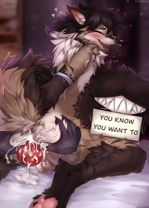 Ashie alt [MM] (shirsha)