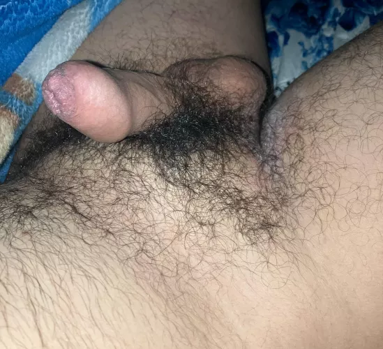 Been insecure, might aswell embrace it 