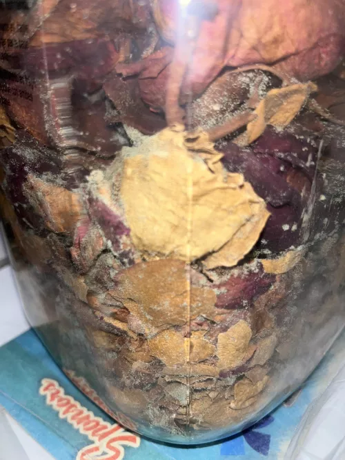 Debating on if I should just throw the whole jar away