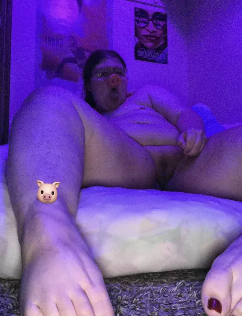i'm a fat detrans piggy girl 🐷