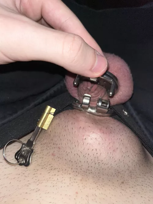 jungfrau braucht erziehung 