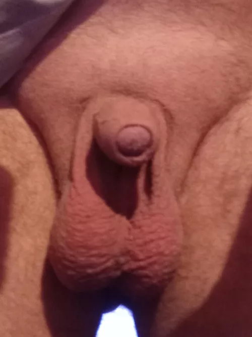 Saggy balls and small cock who likes 🥵