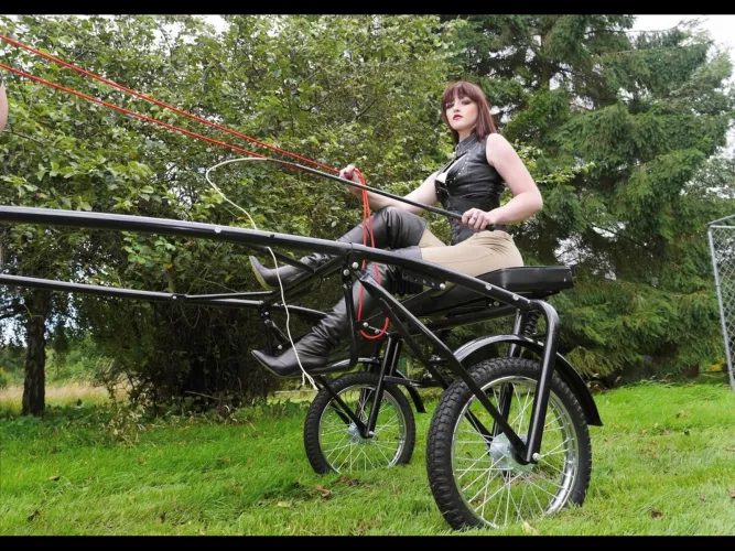 She paid good money for you, now pull. 