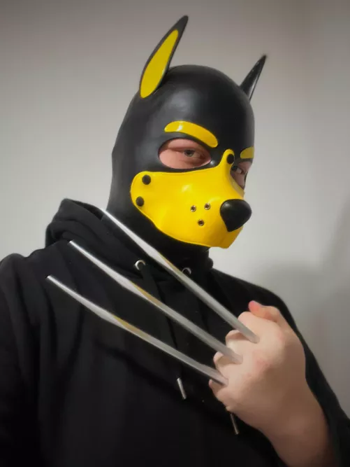 Wolverpup \|/ 🐾