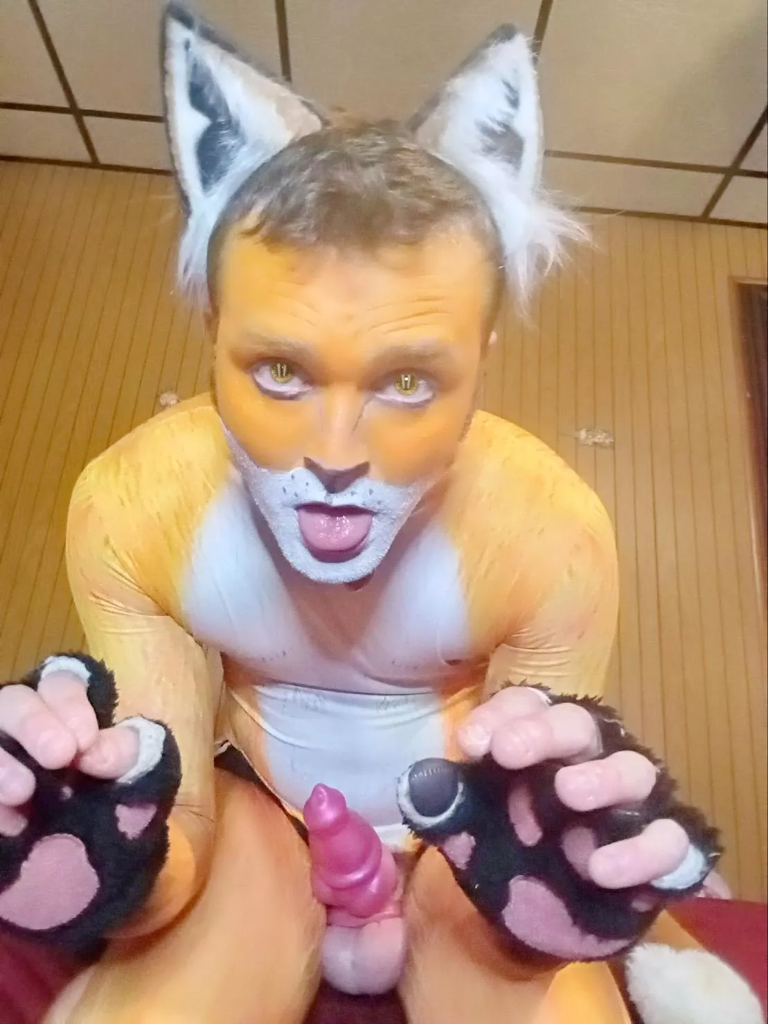 Fox breeding season is here 🦊 🪢