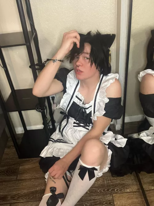 Local catboy imprisoned for war crimes