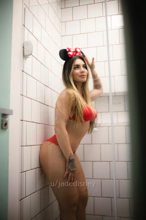 Vem curtir com tua princesa da disney!