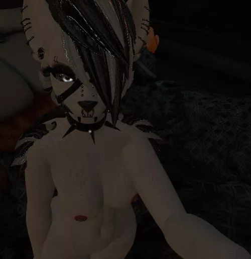 Anyone looking for a free use bitch to breed? Invite me to any event or anything, I’m desperate (Desktop)