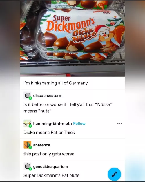 Dude, Germany fucking rocks 