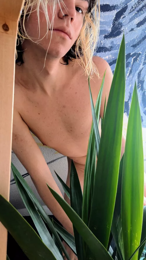 Felt cute, might delete later.🌱 