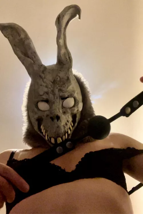 Frank is in the mood to play 😈