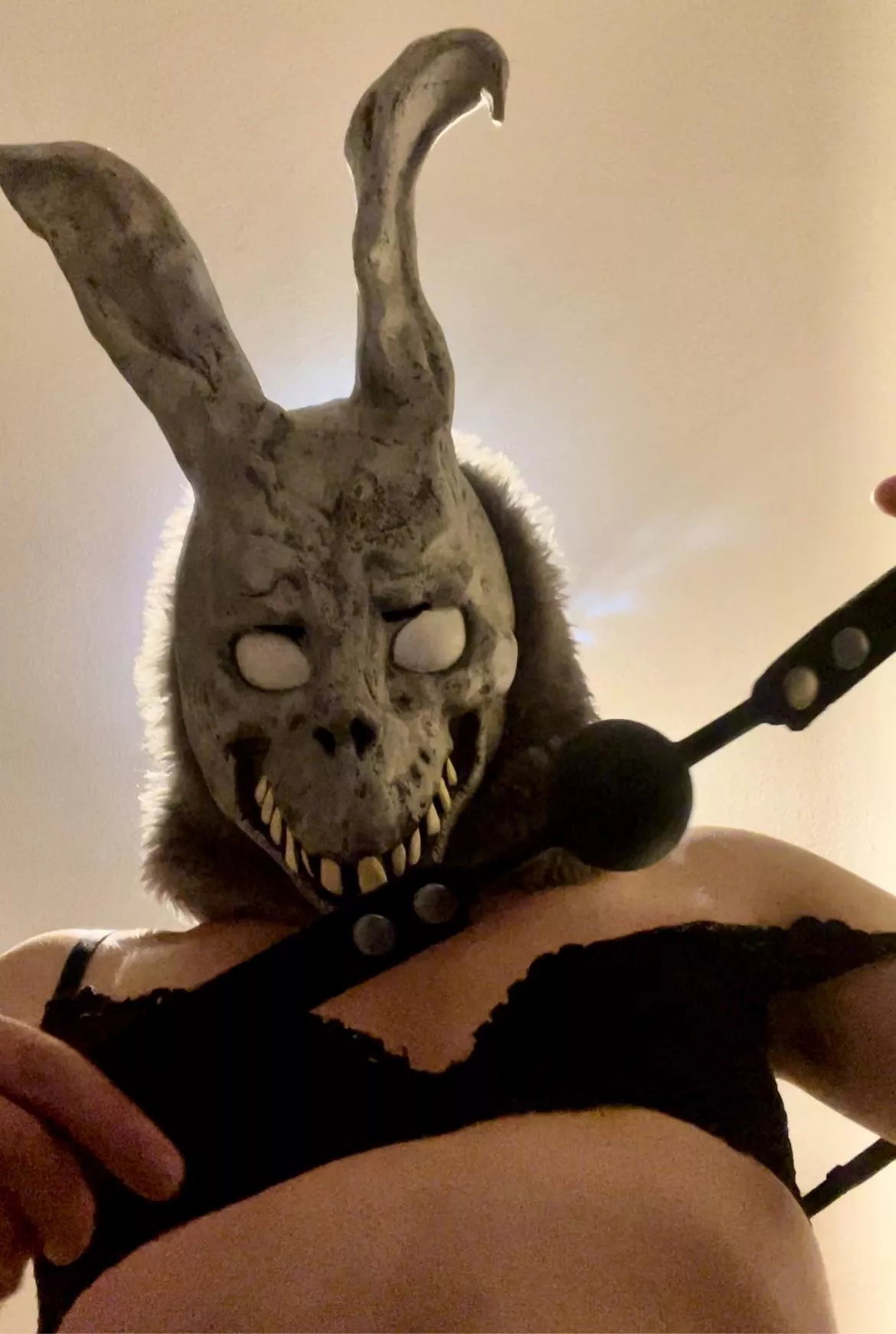 Frank is in the mood to play 😈