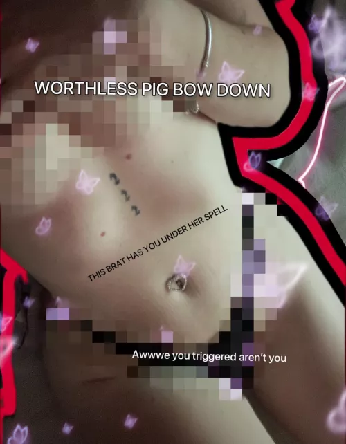 How many times did you re read it 