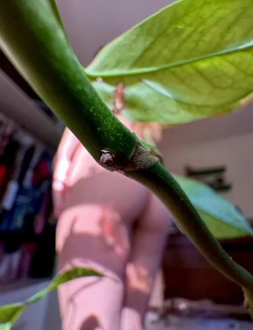 i spy with my little eye…