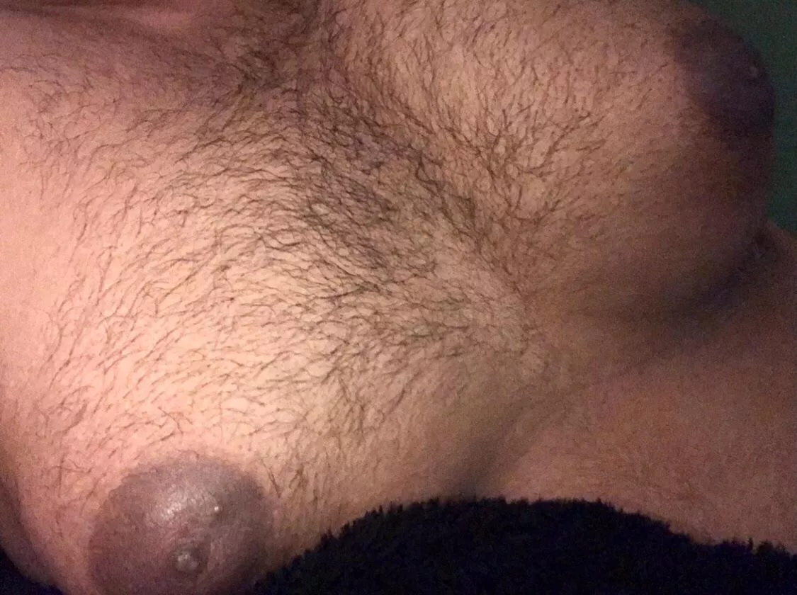 Id love to feed some hungry mouths 