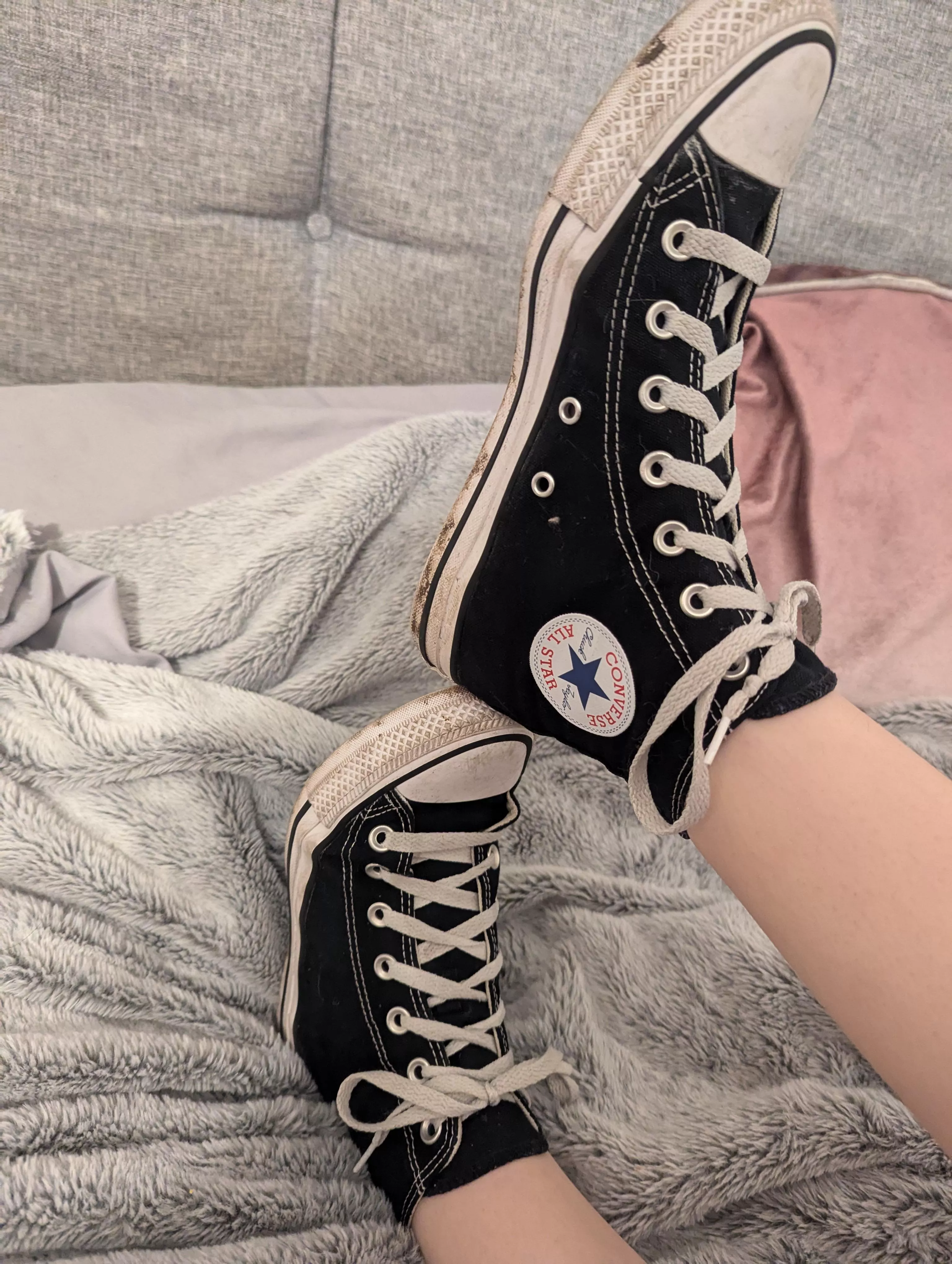 Looking for some desperate little pets to clean these for me 🐕🥰