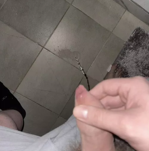 Marking my territory, my primal instincts tell me to pee.