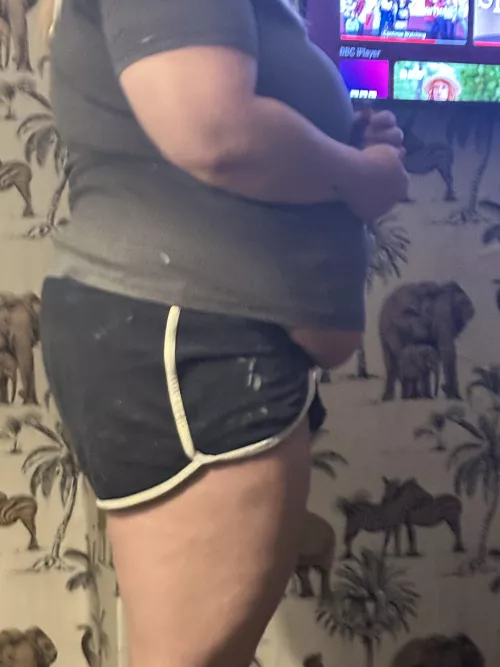 My friend caught this picture 🐷