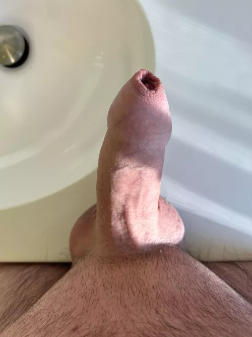 Western Mass TGirls?