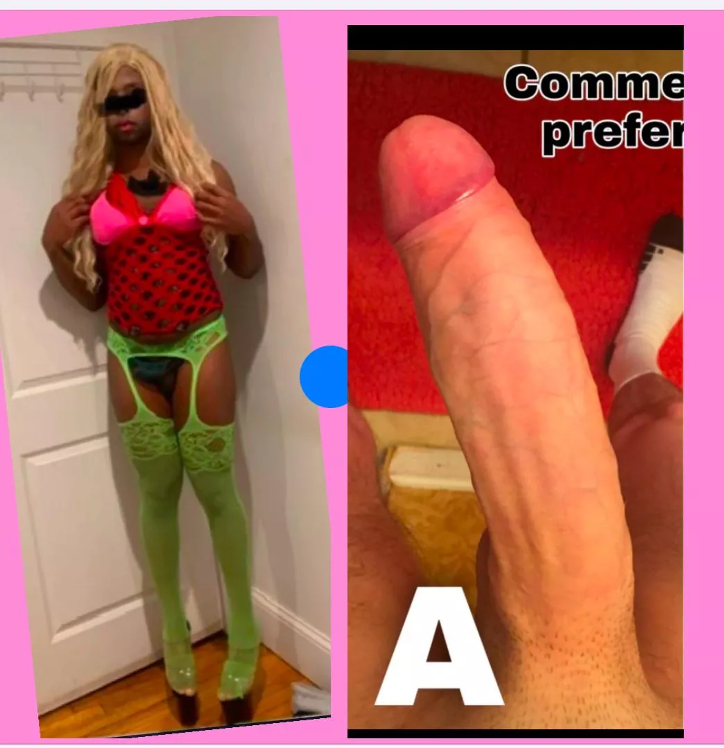 White Alpha vs black sissy 