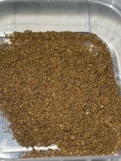 1.1g AVB klar til i kveld 