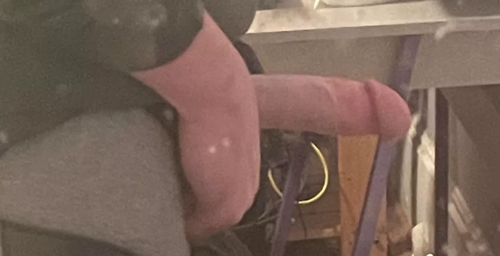 18M4F 6'4 and hung, sit on my face then I fuck you