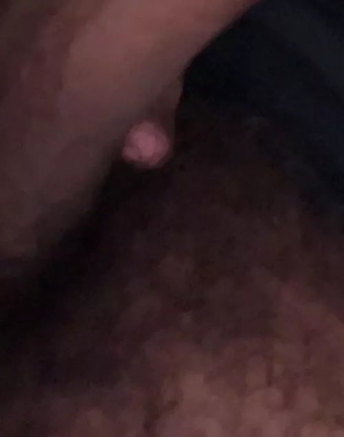 [19] looking for anything in northside 