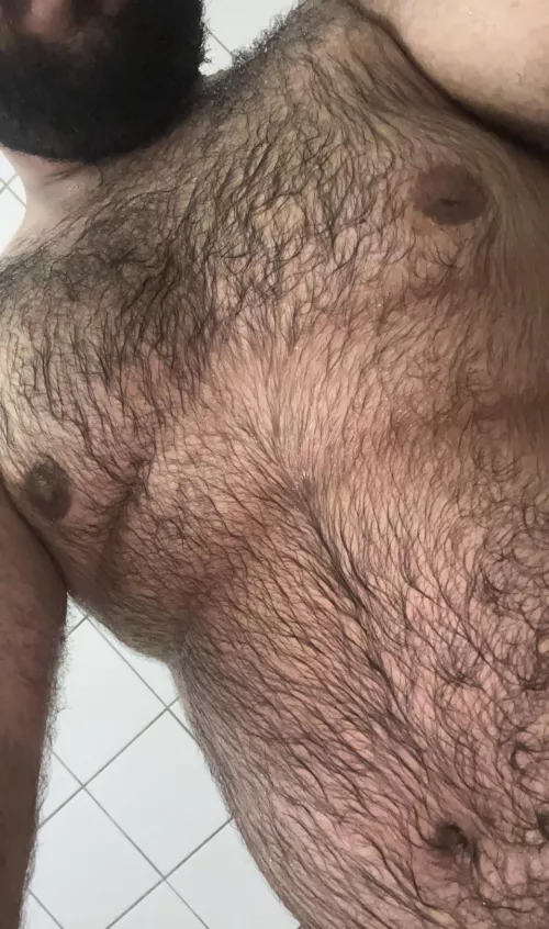21 bottom bear, is my body hair “too much”?