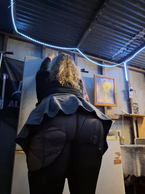 29M23F searching for hung bulls