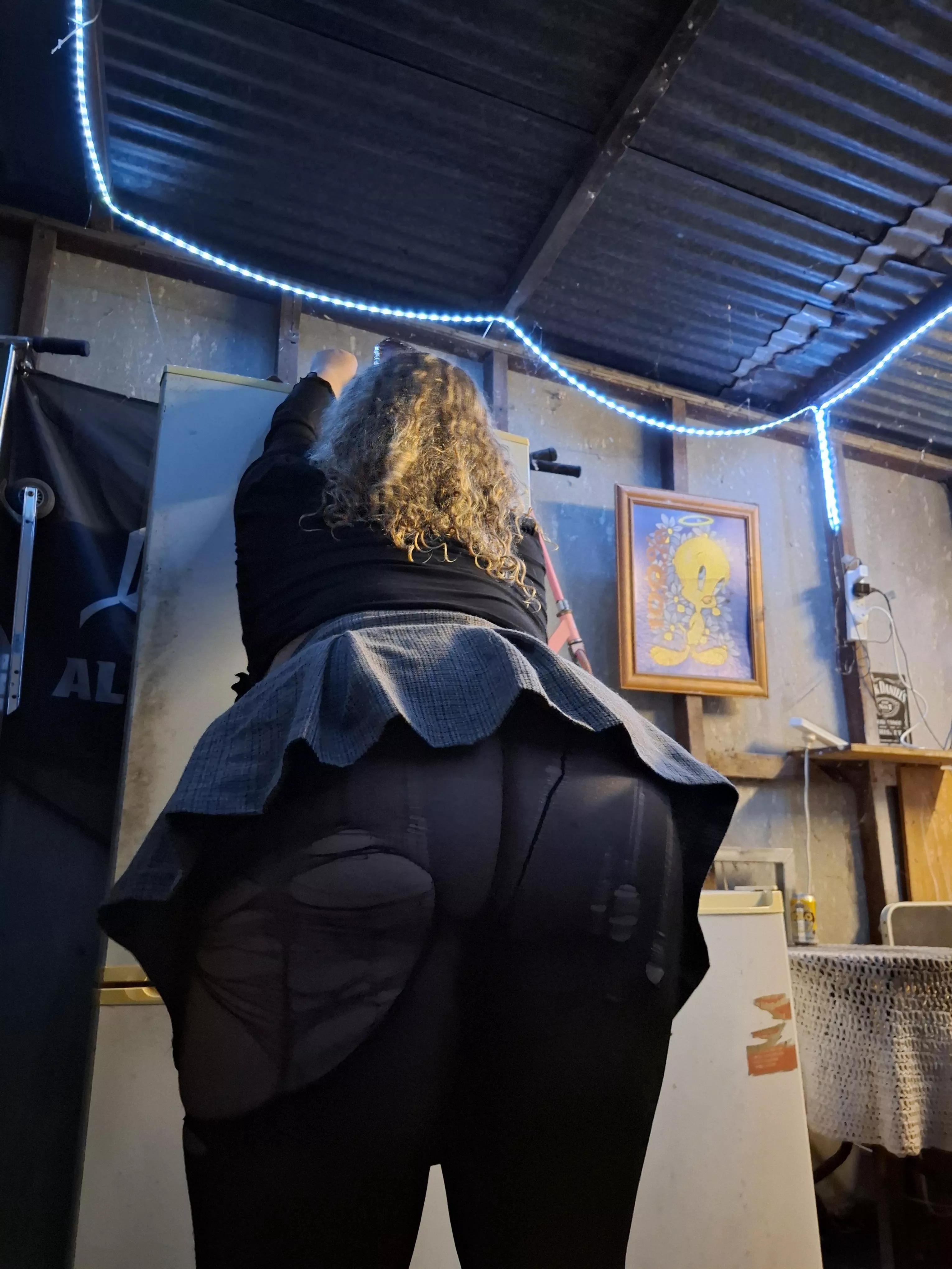 29M23F searching for hung bulls