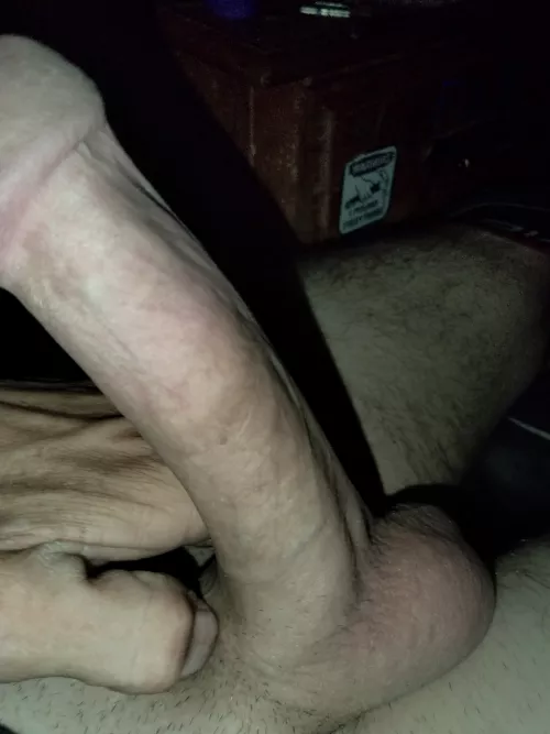 33 M4F/T/TF