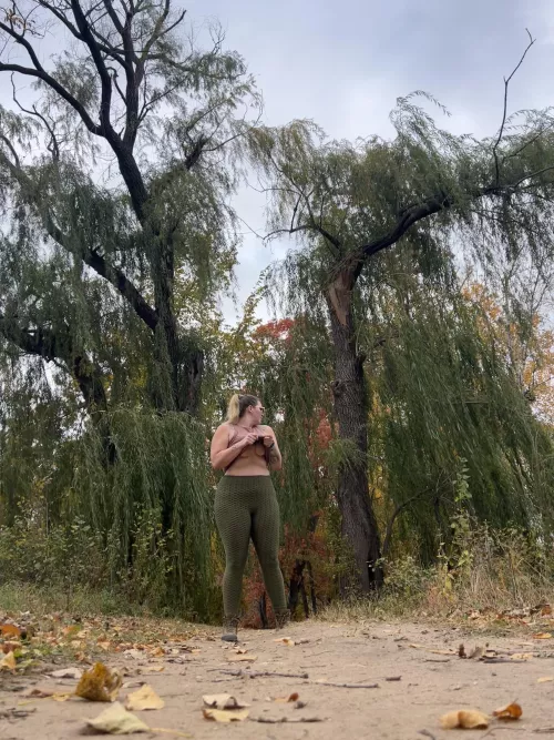 Anyone know the trail?