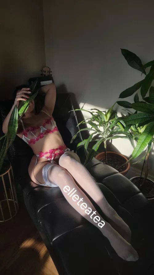 Are my gips thick enough for you 