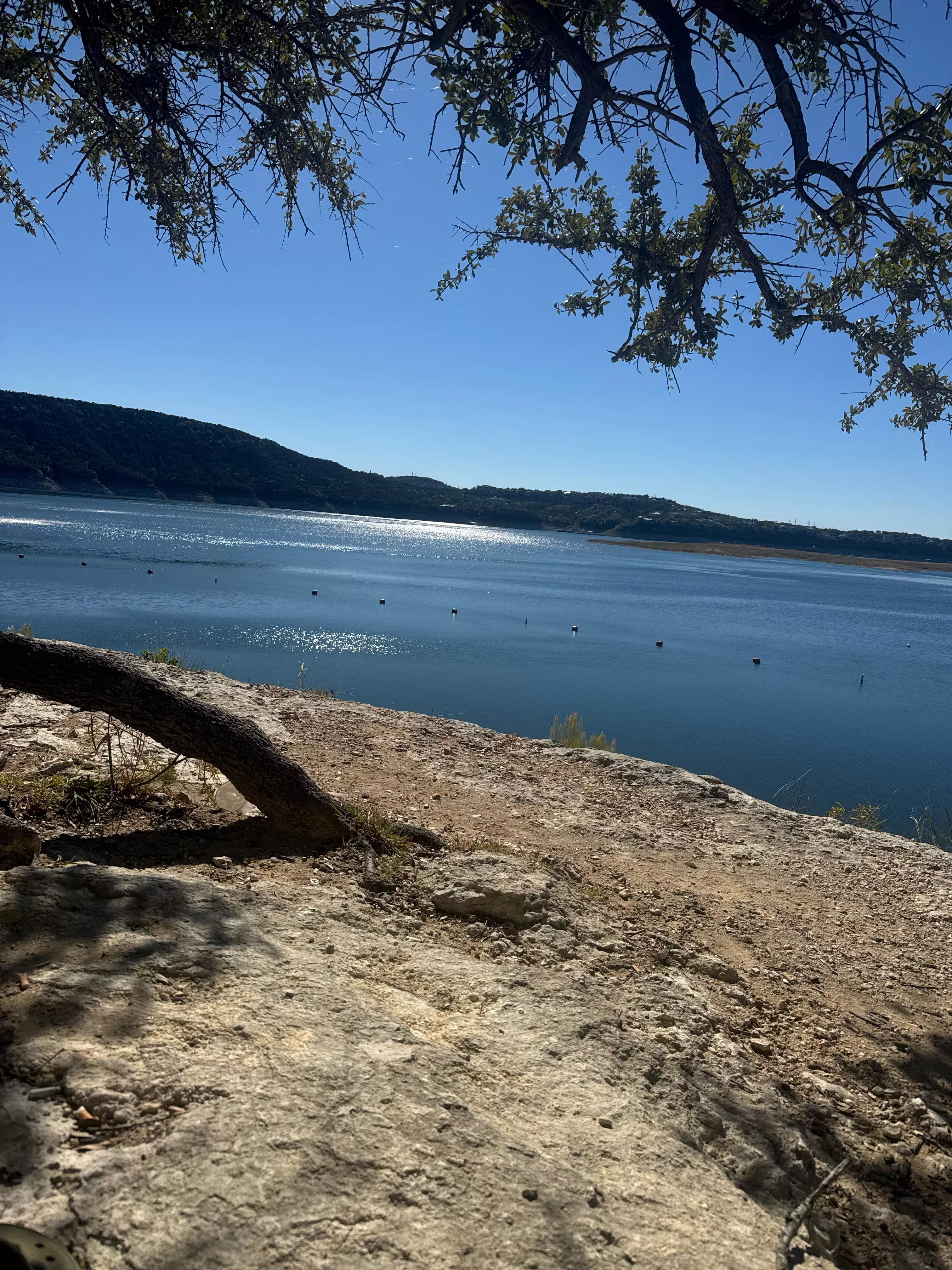 Beautiful day out today