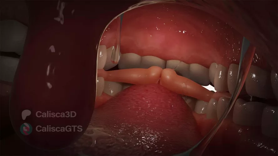 Calisca3D - Pharah's Treat Pt 3