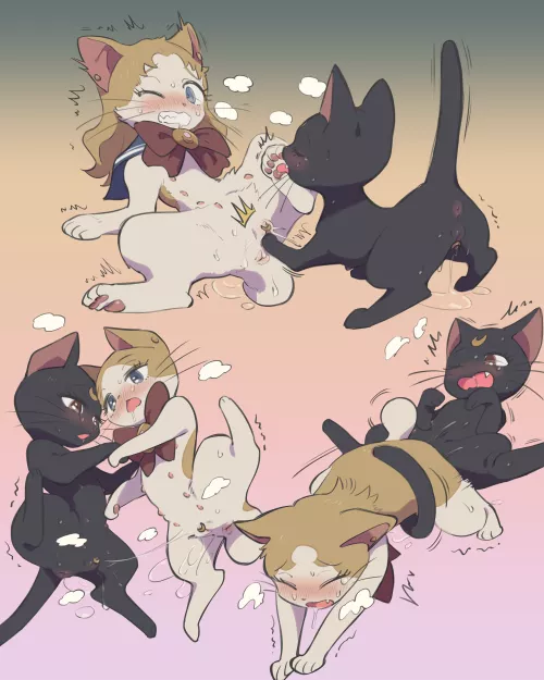 Curious cats [FF] (kinni)