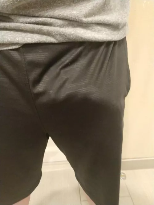 Experienced Bull 44 from the Flint area