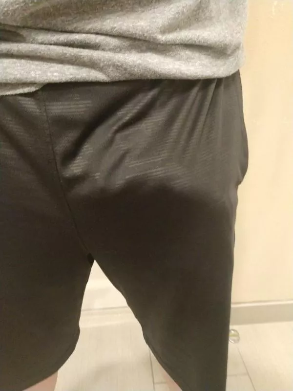 Experienced Bull 44 from the Flint area