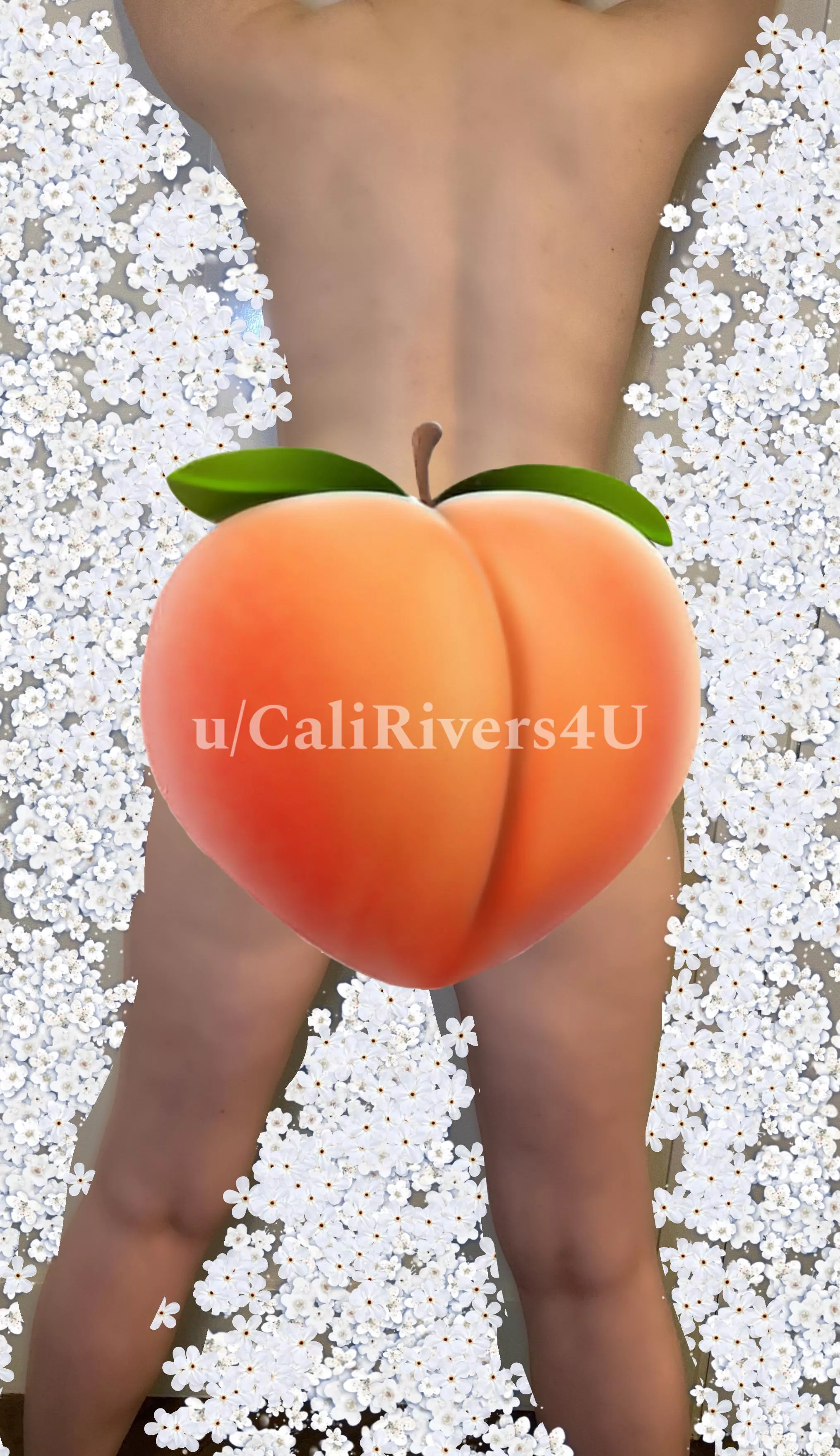 Happy Tushy Tuesday!