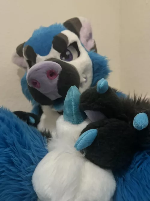 He’s lonely waiting for you to get home 