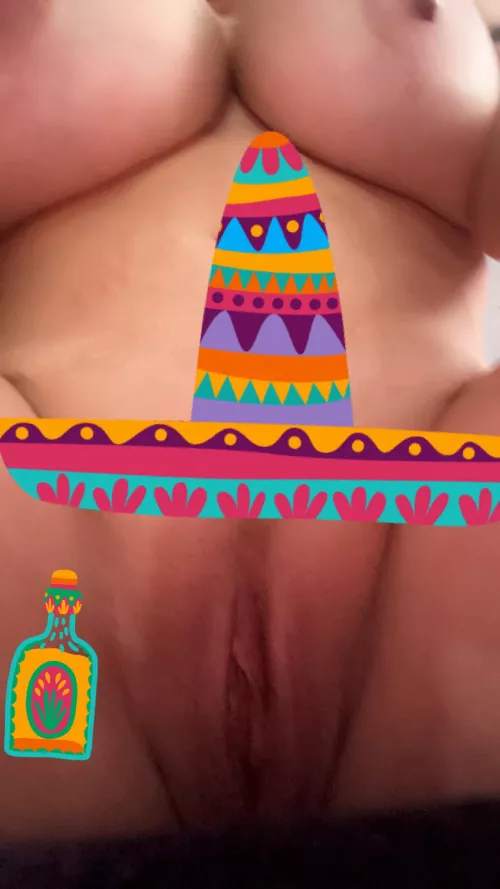 i dressed her up for Tequila and Tacos Tuesday 🤪 Where else are you going to see a pussy wearing  a sombrero? 