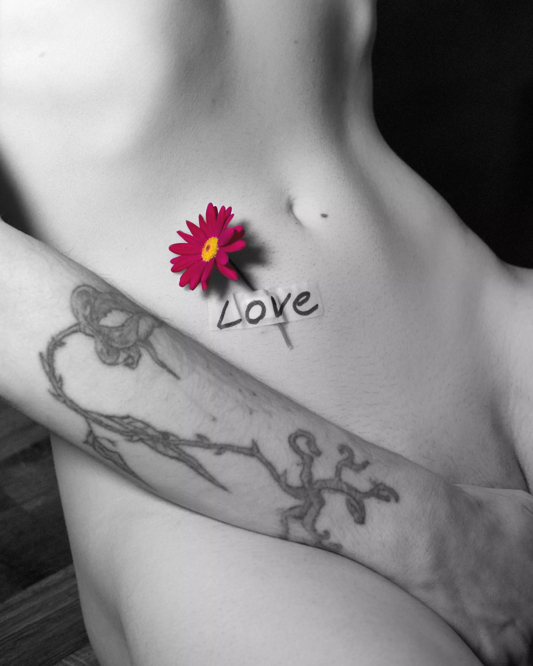 I posted this in another sub before, but people seem to not have liked it 💀 Just wanted to try again here one last time 🤍🌷 [nb]