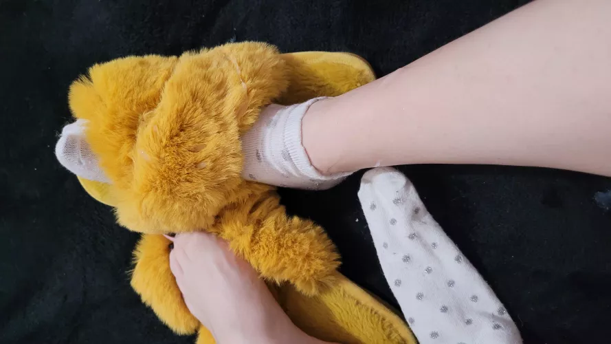 I think I've got a good one for the first post here