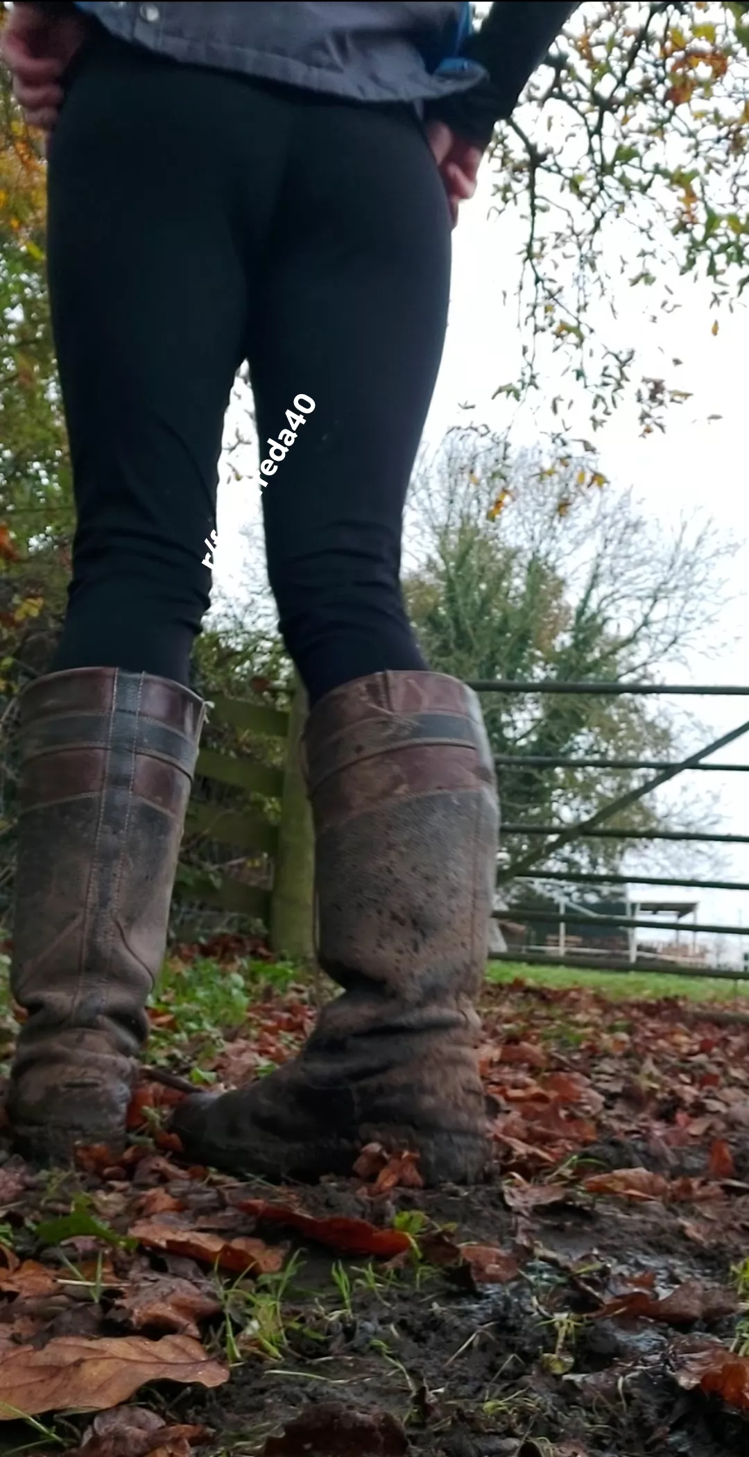 I wonder if the animals ever tire of my photos and removing clothes 