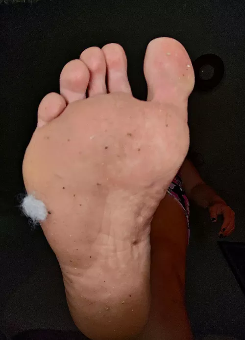 I'm going to use your ridiculous face to wipe the shit off my soles. Erestam weak and submissive that you would let me humiliate and use you.
