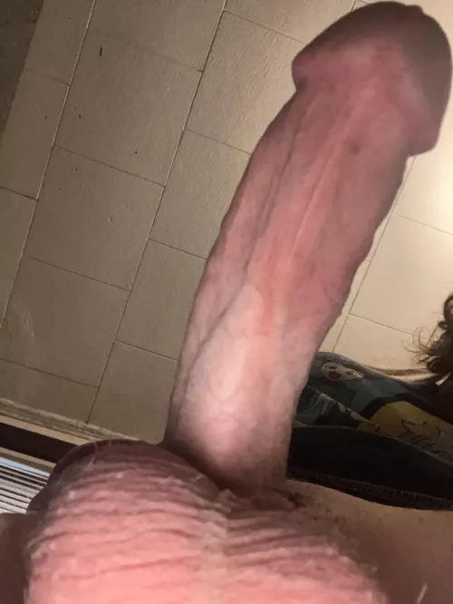 Internet bf application 