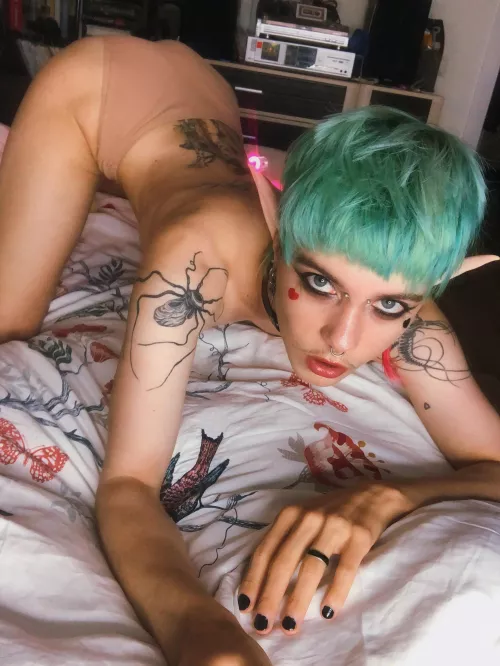 Let this horny elf drain you 